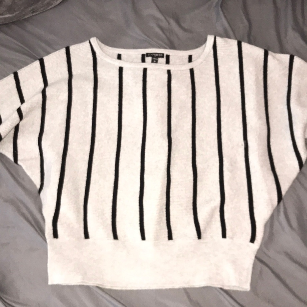 EXPRESS sweater